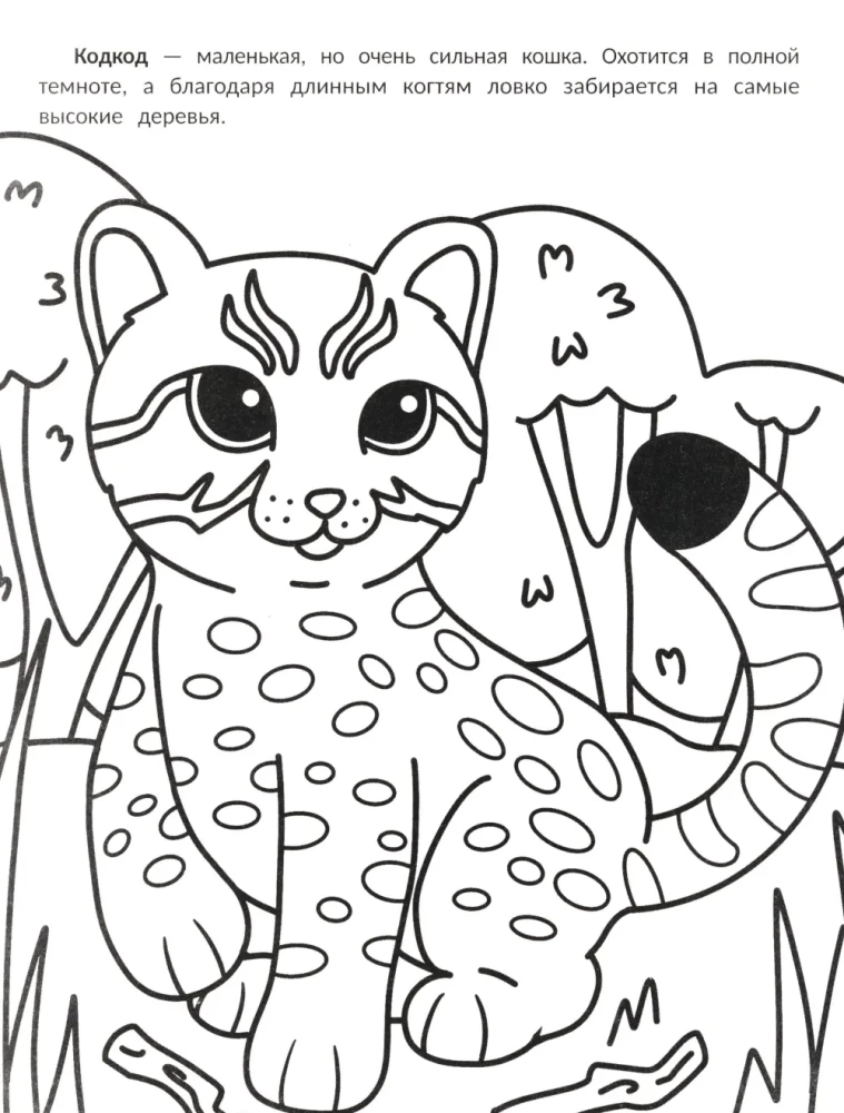 The Most Purring: Coloring Book