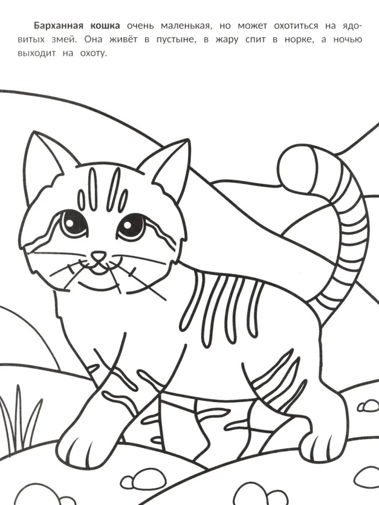 The Most Purring: Coloring Book