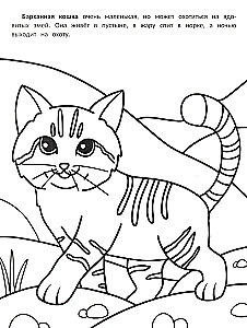 The Most Purring: Coloring Book