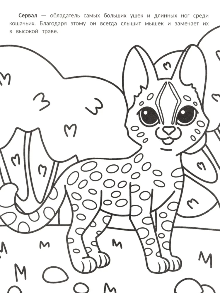 The Most Purring: Coloring Book