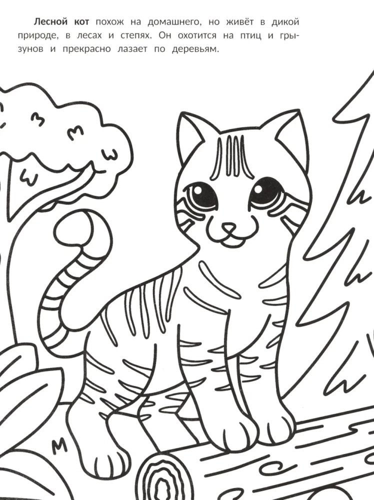 The Most Purring: Coloring Book