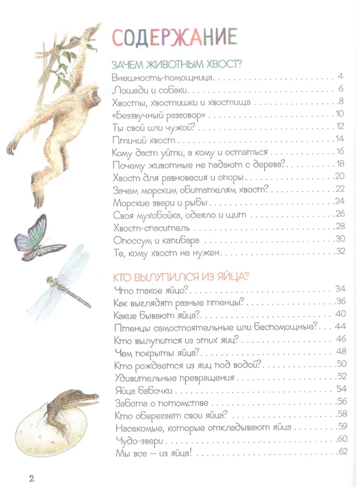 Ренне Удивительный мир животных. Энциклопедия для малышей