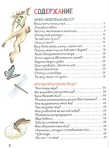 Ренне Удивительный мир животных. Энциклопедия для малышей