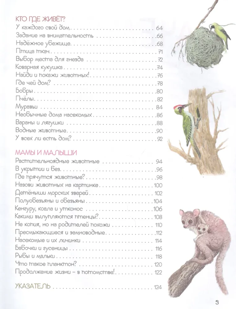 Ренне Удивительный мир животных. Энциклопедия для малышей