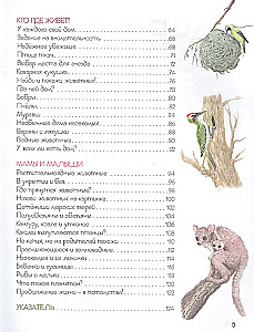 Ренне Удивительный мир животных. Энциклопедия для малышей