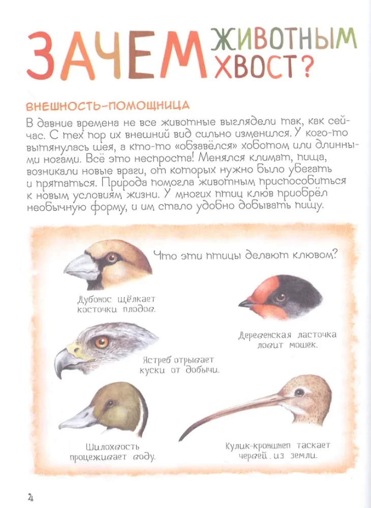 Ренне Удивительный мир животных. Энциклопедия для малышей