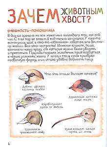 Ренне Удивительный мир животных. Энциклопедия для малышей