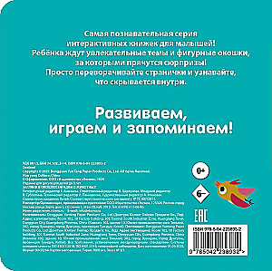 Look Through the Window! Riddles about Animals