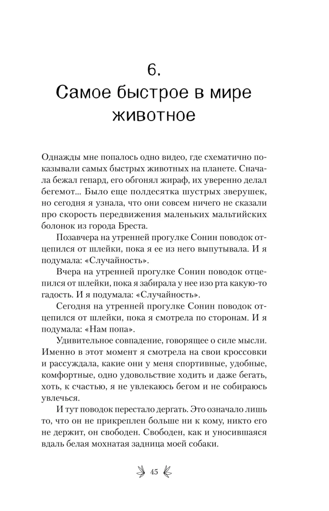 Leidenschaft für Lavendel. Durchdrungen von Optimismus Geschichten über eine Lavendelfarm, die verrückt geworden ist, und große Träume vom Familienglück