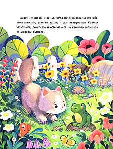 Fairy Tales for Sweet Dreams