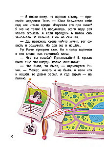 The Brium Detective Agency. Disappearance in the Boring Park