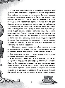 Susan Mills und der Hexenstein