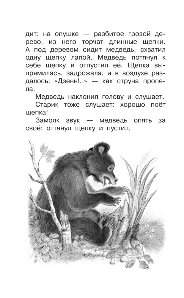 Alle besten Geschichten über Tiere