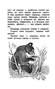 Alle besten Geschichten über Tiere