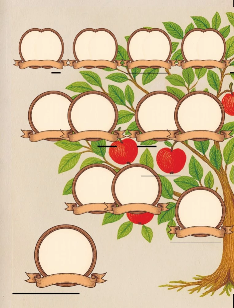 A Conversation with Grandpa. The Key to Understanding the Family Tree