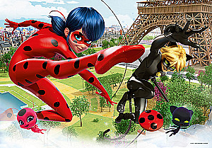 Puzzle 360 - Ladybug and Cat Noir