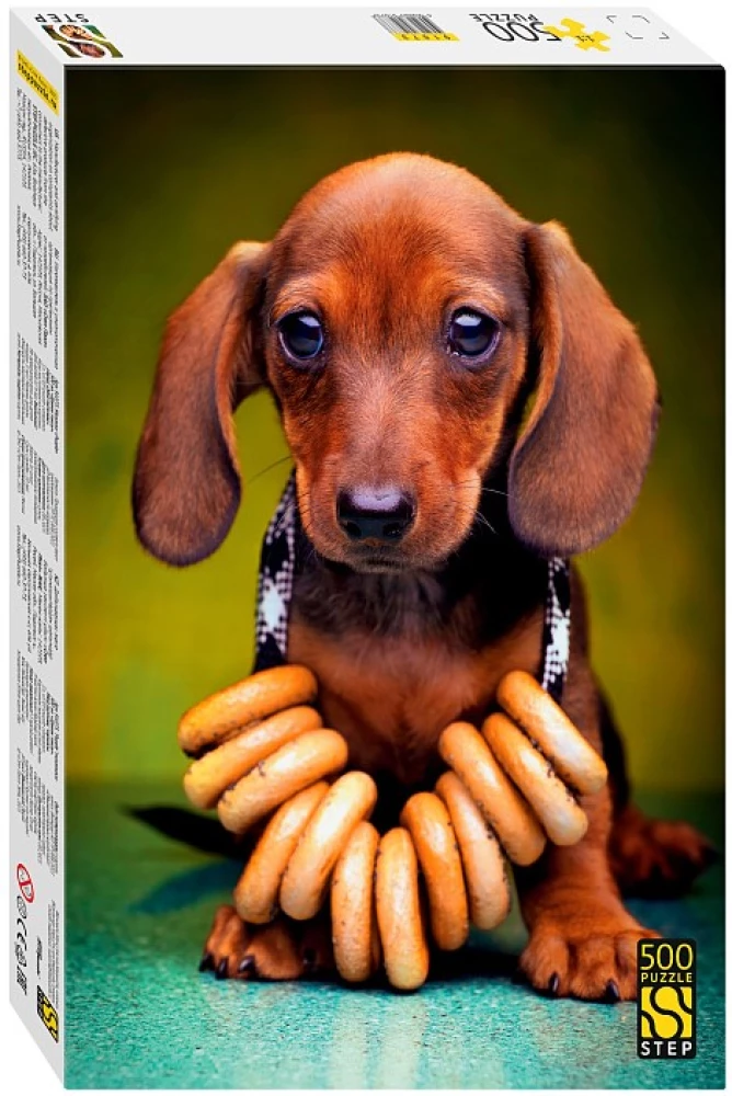 Puzzle 500 - Dachshund Puppy
