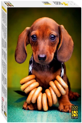 Puzzle 500 - Dachshund Puppy