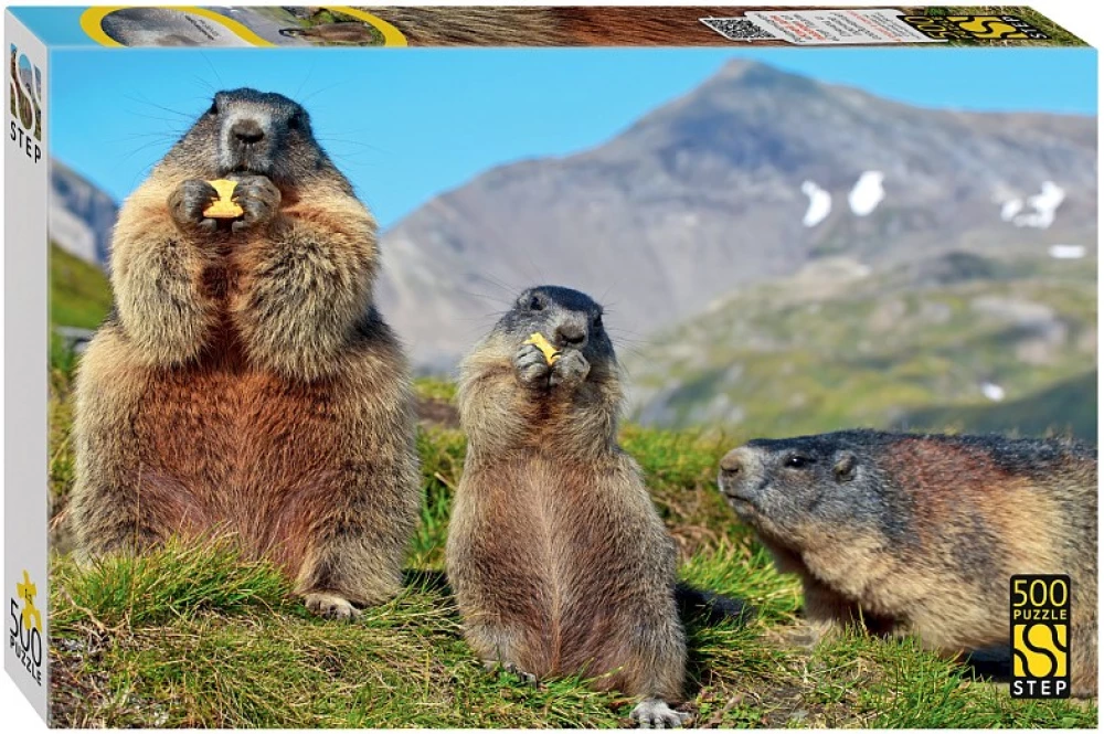 Puzzle 500 - Alpine Marmots