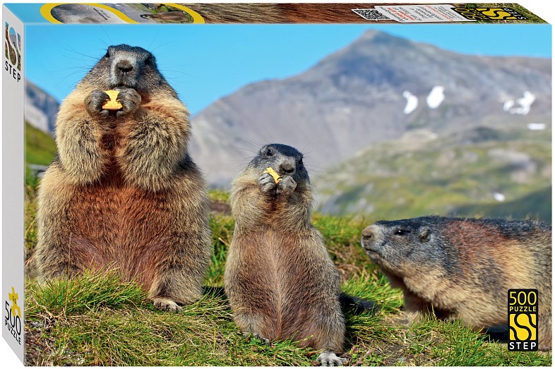 Puzzle 500 - Alpine Marmots