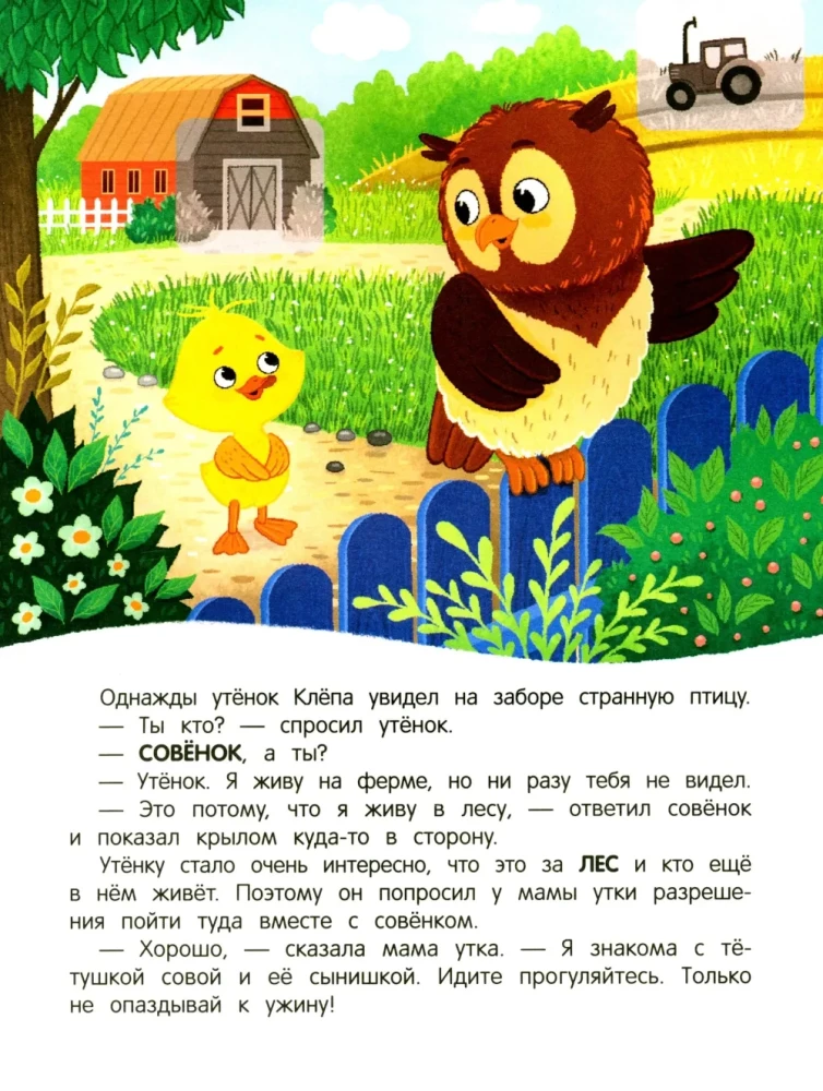 Duckling in the Forest! Sticker Book