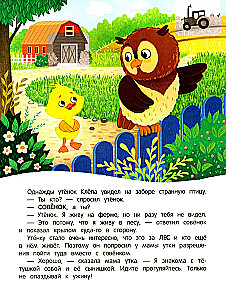 Duckling in the Forest! Sticker Book