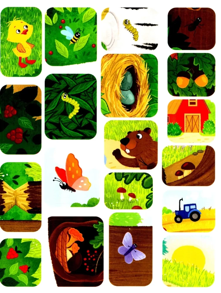 Duckling in the Forest! Sticker Book