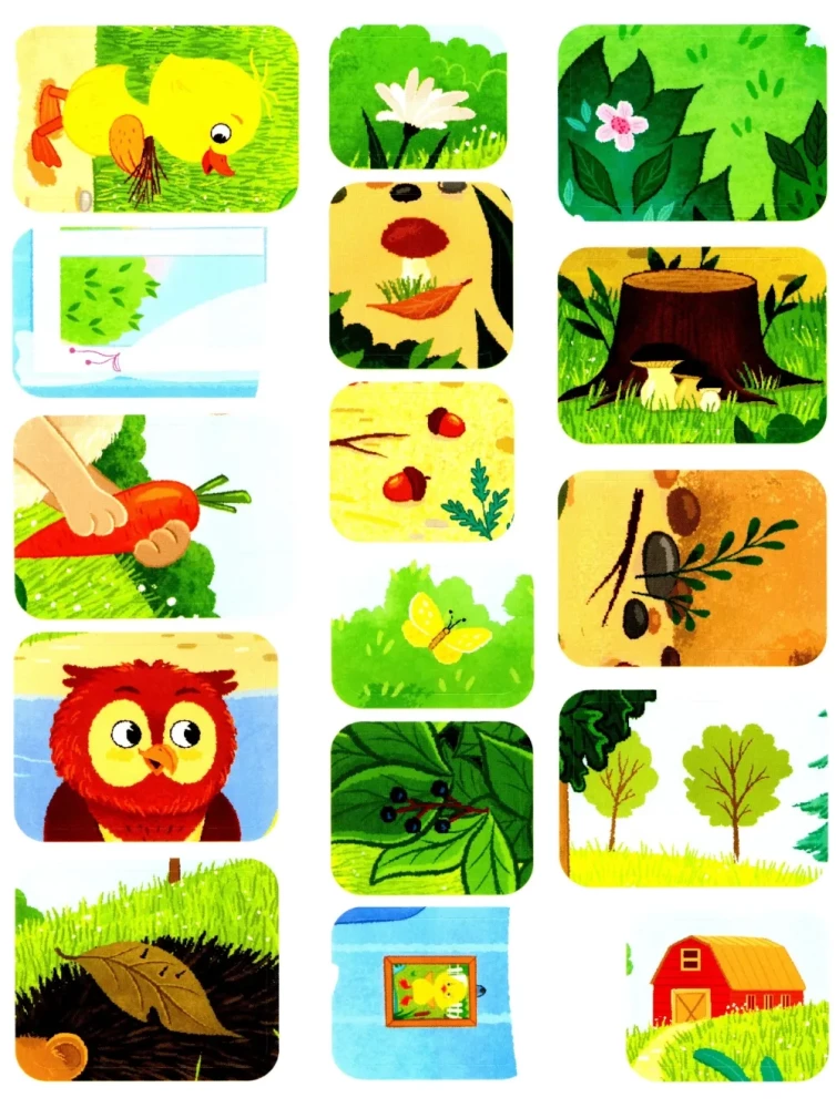Duckling in the Forest! Sticker Book