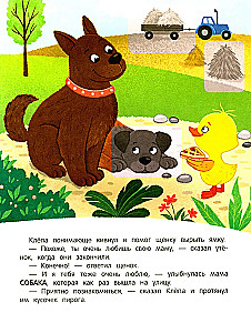 Duckling on the Farm! Sticker Book