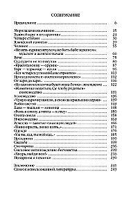 Everyday Life of Pagan Rus