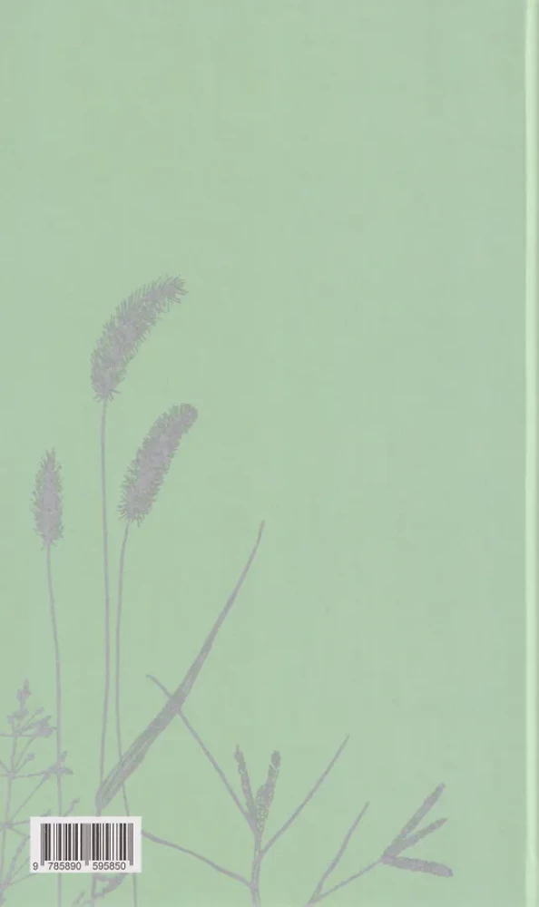 Das Buch über amerikanische Poesie