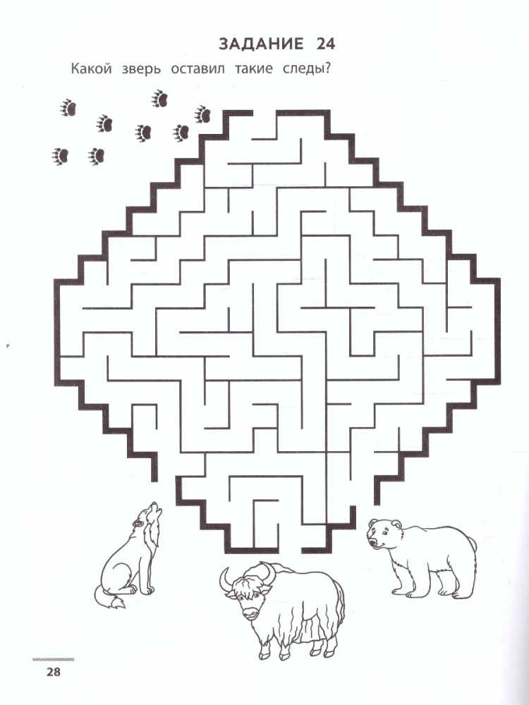 Maze Puzzles. Developing Visual-Motor Coordination