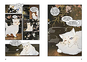 Imperiaalne kassid Ke禁止 meirita