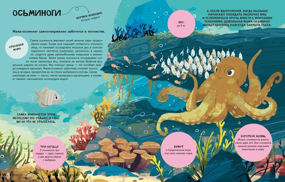 Looduse pered maailmas. Armastus, hool ja kasvatamine metsas