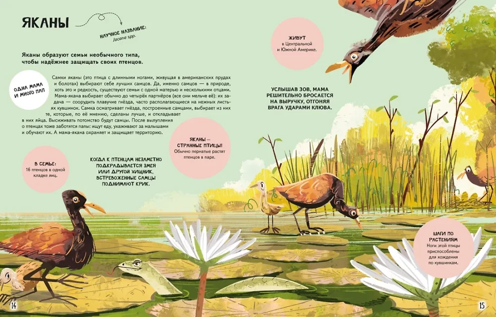 Looduse pered maailmas. Armastus, hool ja kasvatamine metsas