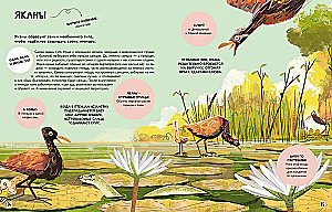 Looduse pered maailmas. Armastus, hool ja kasvatamine metsas