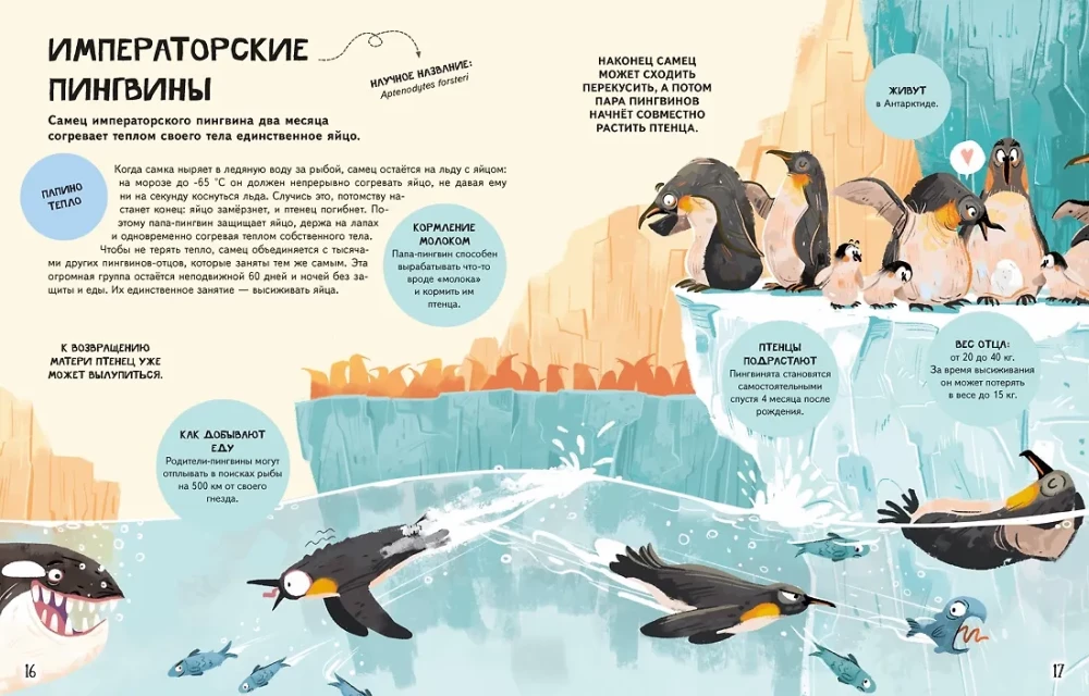 Looduse pered maailmas. Armastus, hool ja kasvatamine metsas