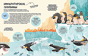 Looduse pered maailmas. Armastus, hool ja kasvatamine metsas