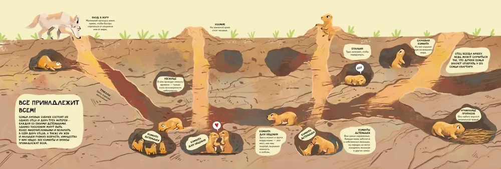 Looduse pered maailmas. Armastus, hool ja kasvatamine metsas