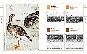 Mysterious China (set of 2 books with a shopper)