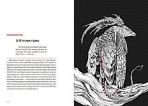 Mysterious China (set of 2 books with a shopper)