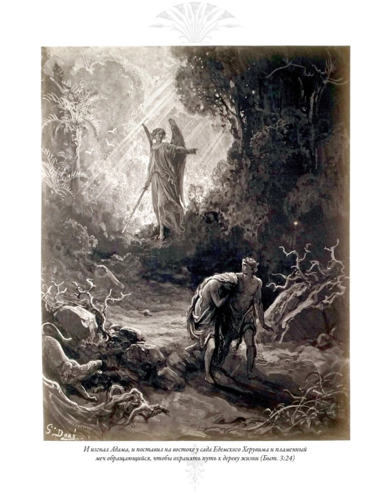 The Bible. Old Testament Volume 1 and 2. New Testament