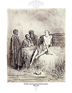 The Bible. Old Testament Volume 1 and 2. New Testament