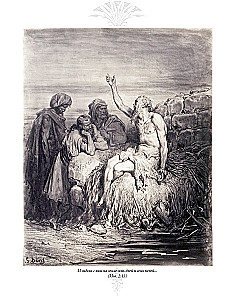 The Bible. Old Testament Volume 1 and 2. New Testament