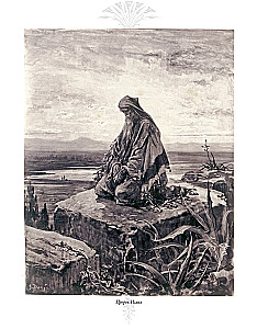 The Bible. Old Testament Volume 1 and 2. New Testament