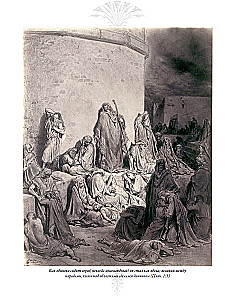 The Bible. Old Testament Volume 1 and 2. New Testament