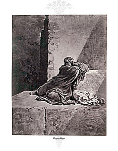 The Bible. Old Testament Volume 1 and 2. New Testament