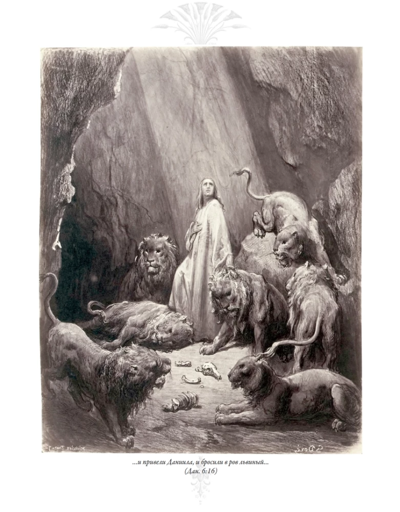 The Bible. Old Testament Volume 1 and 2. New Testament