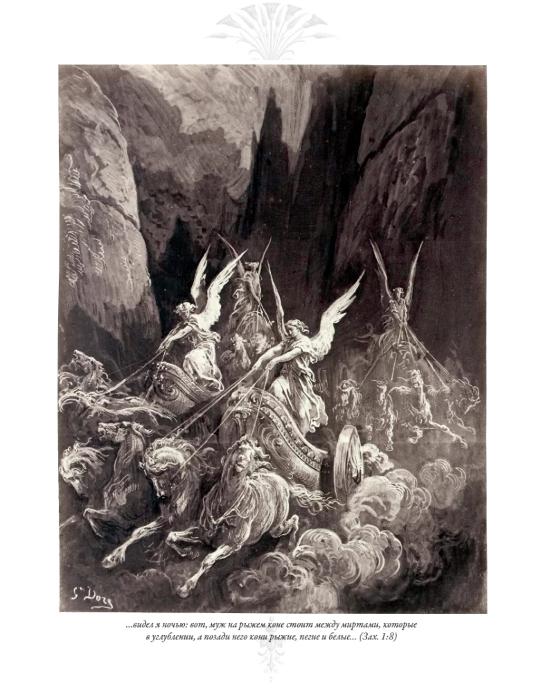 The Bible. Old Testament Volume 1 and 2. New Testament