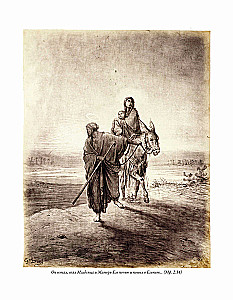 The Bible. Old Testament Volume 1 and 2. New Testament